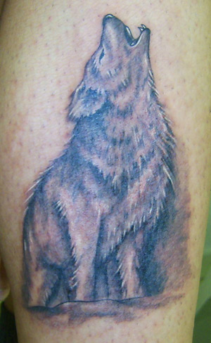 Tatuaggio lupo